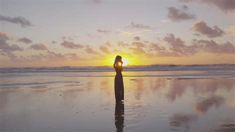 Beach Sunset Silhouette Filmpac