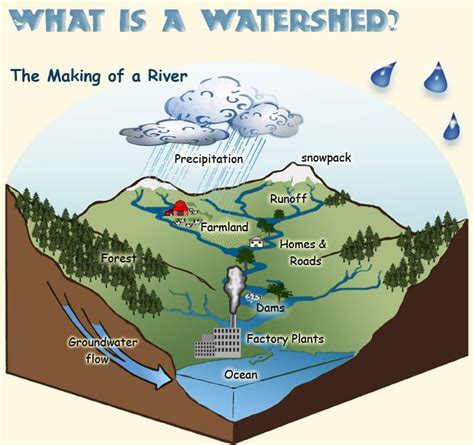 Watershed Diagram For Kids