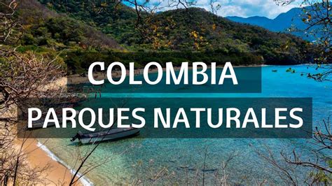 Top 195 Imagenes De Parques Naturales De Colombia Theplanetcomicsmx
