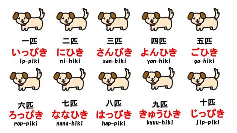 助数詞 Learn Japanese Counter Words 日本語 数え方 Japanese Lesson On Youtube