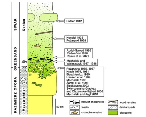 Placement Of The Cretaceous Paleogene Maastrichtian Danian Boundary