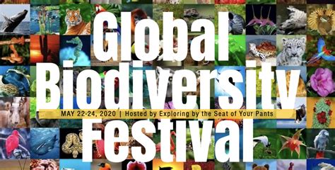 World Biodiversity Day And Global Biodiversity Festival Toucan Rescue Ranch