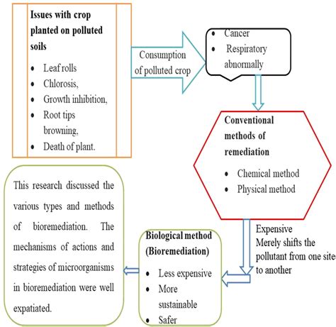 Bioremediation Techniques