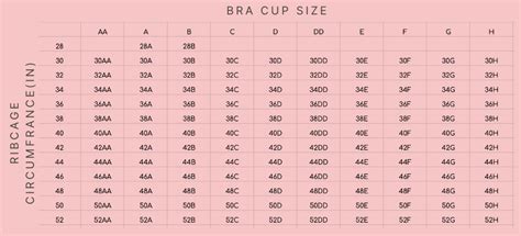 bra size calculator perfect fit every time in 3 easy steps bra space