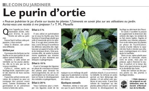 Le coin du jardinier : le purin d'ortie