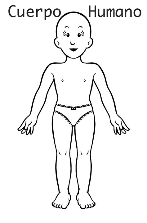 Figura Para Colorear Del Cuerpo Humano Imagui