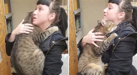 Cat That Loves Being Held Finds Forever Home After Video Goes Viral
