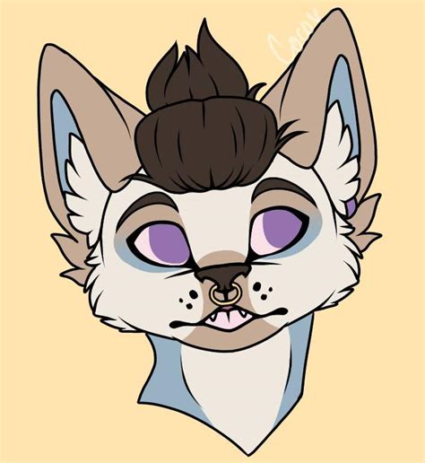Finished Commissions Furry Amino