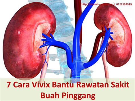 Masa berlalu, saya juga menghidap diabetes dan masalah buah pinggang. 7 Cara Vivix Bantu Rawatan Buah Pinggang | Vitamin Cerdik ...