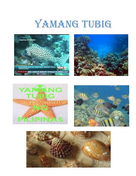 Yamang Tubig Produkto We Are Made In The Shade