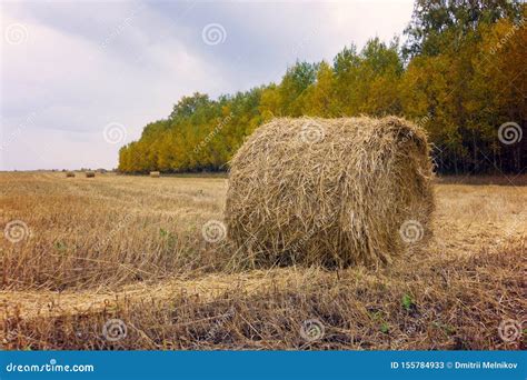 Hay Bale Haystack Harvest Field Ountryside Natural Landscape