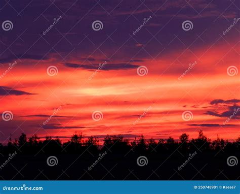 Bright Red Sunset Sky With Silhouettes Of Trees Background Stock Image