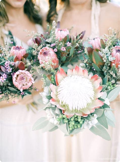 Wedding Flowers Inspiration The King Protea Flowerona