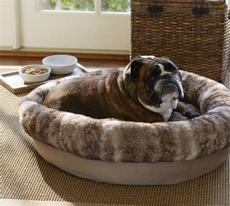 Faux Fur Bolster Dog Bed Pottery Barn