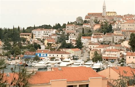 במקרה ואין שינוי בחשבון הבנק מעת שירותכם: קרואטיה - שימור דולפינים
