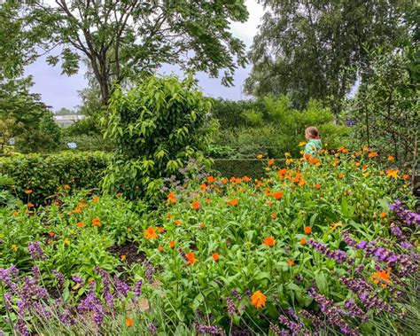 Tips Voor Bezoek Aan Botanische Tuinen In Utrecht Nederlandsglorie