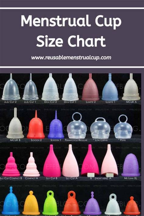 Cup Sizes Chart With Pictures
