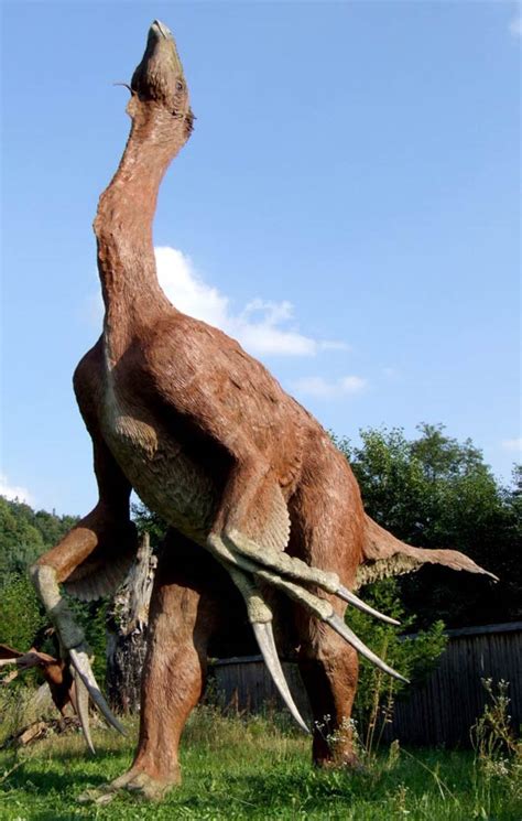 Terizinozaur Therizinosaurus Cheloniformis Dinoanimalspl