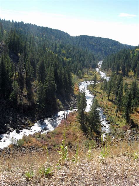 Warm River Idaho Shooting From The Hip Idaho River Wildlife Nature