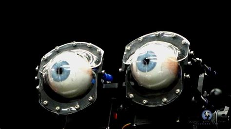 Automatic Eyelid Tracking Animatronic Robotic Eyes Youtube
