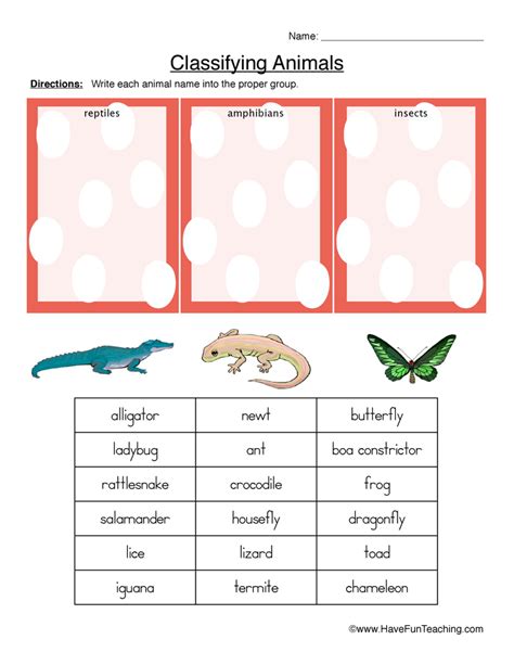 Classifying Reptiles Amphibians Or Insects Worksheet Have Fun Teaching
