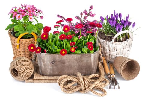 Spring Flowers And Garden Tools Jigsaw Puzzle In Flowers Puzzles On