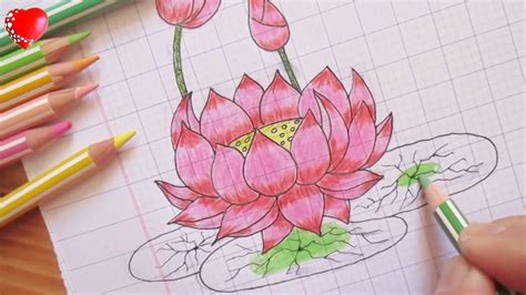 Cách Vẽ Hoa Sen Bằng Bút Chì 55 Hình đẹp Nhất
