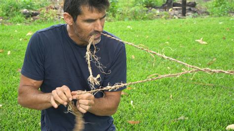 How To Make Bark Rope From A Tree Youtube