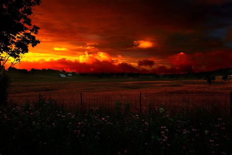 Country Farm Summer Evening Sunset | The Sky| Free Nature Pictures by 