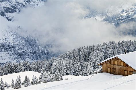 Winter In Alps Photograph By Magdalena Bujak Fine Art America