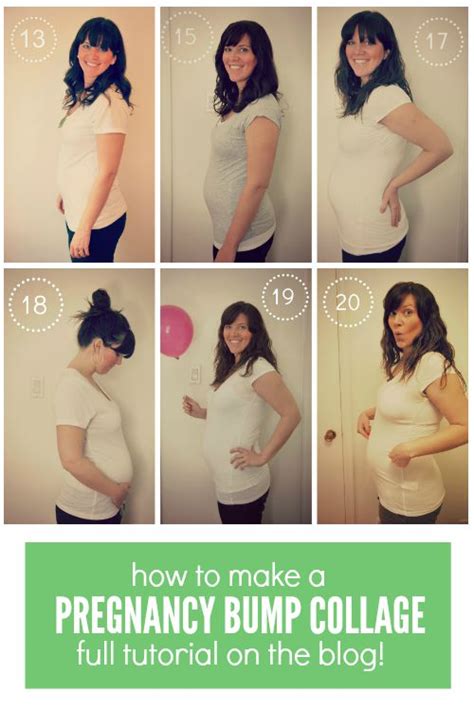 How To Make A Pregnancy Bump Week By Week Collage The Sweetest Digs