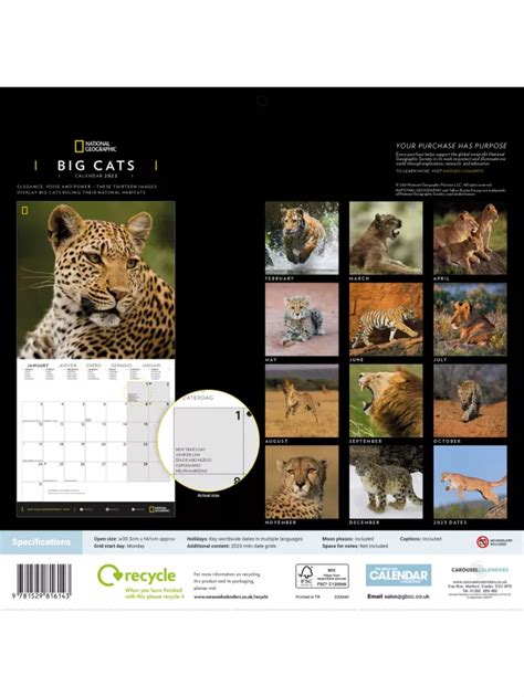 National Geographic Big Cats Calendar 2022