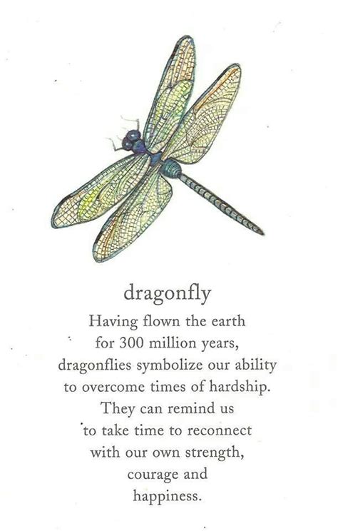 Dragonfly Poems And Quotes Quotesgram