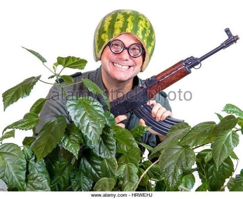Weird Photo Stock Images Weird Stock Photos And Where To Find Them 6