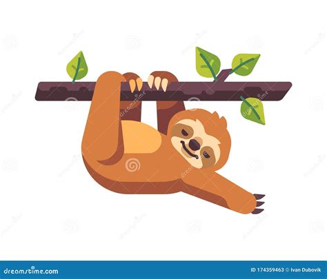 Cute Sloth Sleeping On A Tree Branch Flat Illustration Stock Vector