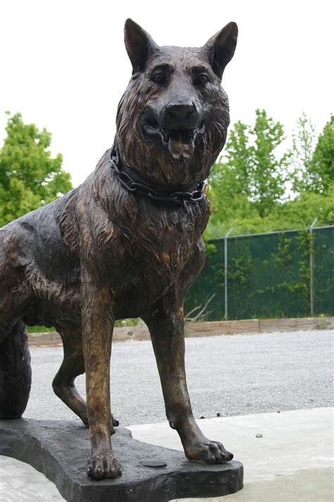 Jul 13, 2017 · all which is correct spellings and definitions, including german shepherd or german shepard are based on official english dictionaries, which means you can browse our website with confidence! German Shepherd Standing - All Classics Ltd - Custom ...