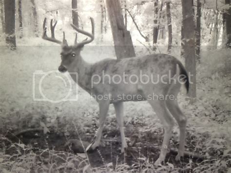 10 Pt Michigan Sportsman Forum