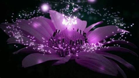 Pin De Teresa Langston En I Love Purple Flores Púrpura Flores Amor