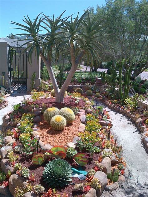 Oasis De Plantas Suculentas Suculentas Jardín De Cactus Cactus Y