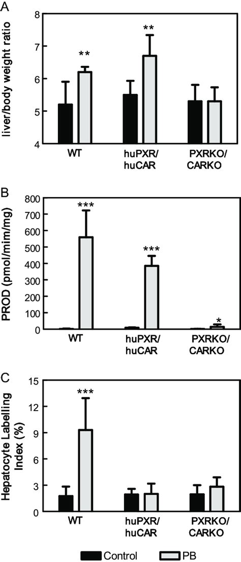 Pxrcar Dependent Strain Differences In Response To Pb Wt C57bl6