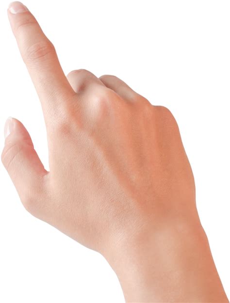 Download Pointing Hands Png Mano Dedo Indice Png Hd Transparent Png