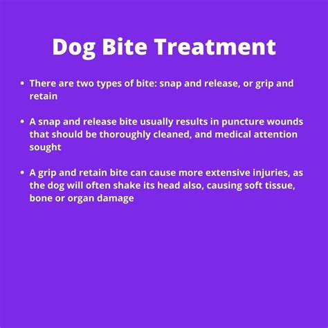 Dog Bites And How To Avoid Them Dr Niamh Lynch