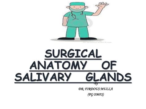 Surgical Anatomy Of Salivary Gland Ppt