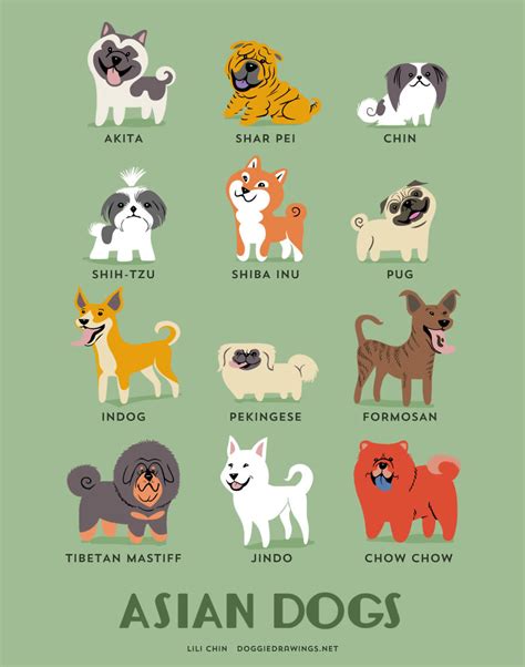 List of dog breeds, both purebred and planned mixed breeds from a to z. 15 Illustration Posters Showing 200+ Dogs of the World ...