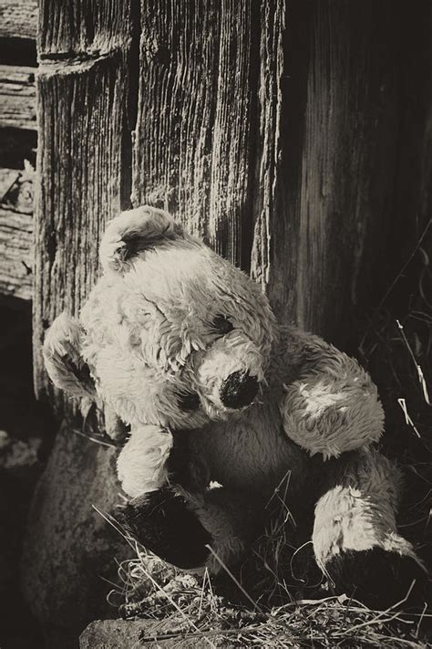Lonely And Sad Teddy Bear Photograph By Christian Lagereek