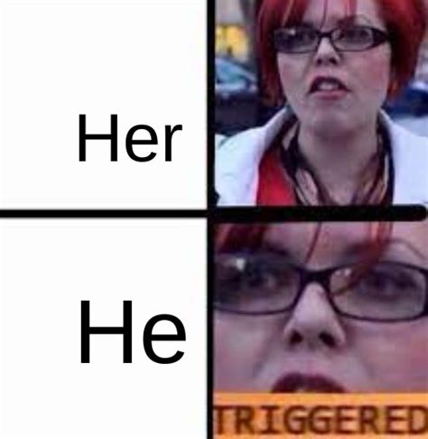 The Best Triggered Memes Memedroid