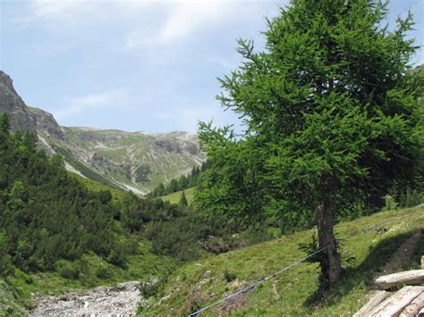 Alle infos zum schneesportgebiet, wettervorhersagen & webcams. Keine Bären im Bärental! (Wanderung nach Davos) - Michael ...
