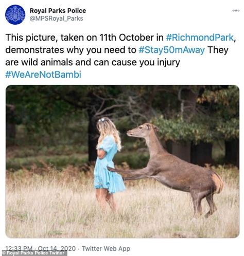Doh Moment Wild Deer Attacks Young Woman In Richmond Park After She Poses For A Photo Daily