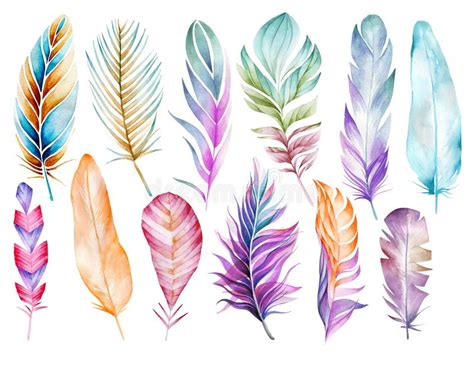 Drawing Feathers Set Stock Vector Illustration Of Calligraphy 28237834