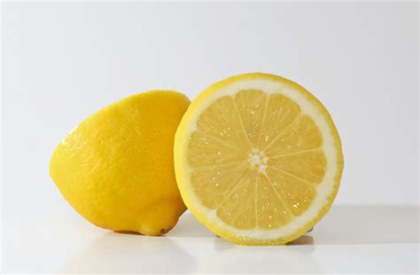 Lemons, A Bacterial Reservoir? | YCPMicro